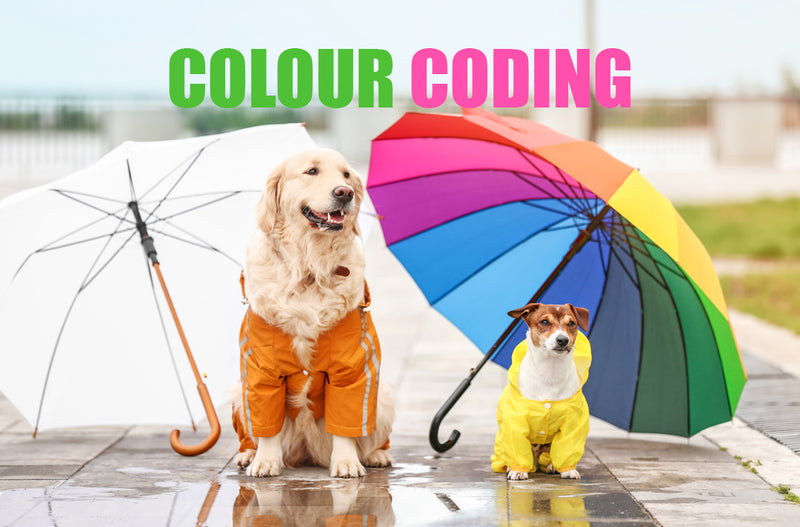 Colour Coding